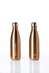 BBBYO Future Bottle + carry cover - stainless steel insulated bottle - 500 ml - Bird print