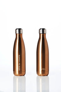 * Super Sale - BBBYO Future Bottle + carry cover - stainless steel insulated bottle - 500 ml - Bird print